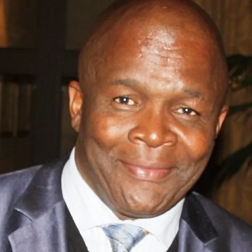 Portrait of Mondli Gungubele
