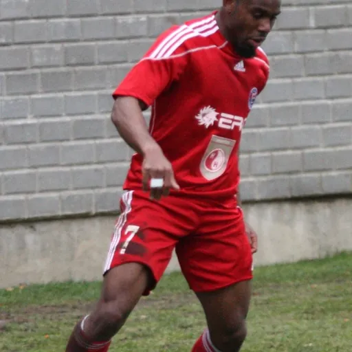 Portrait of Stephen Ademolu