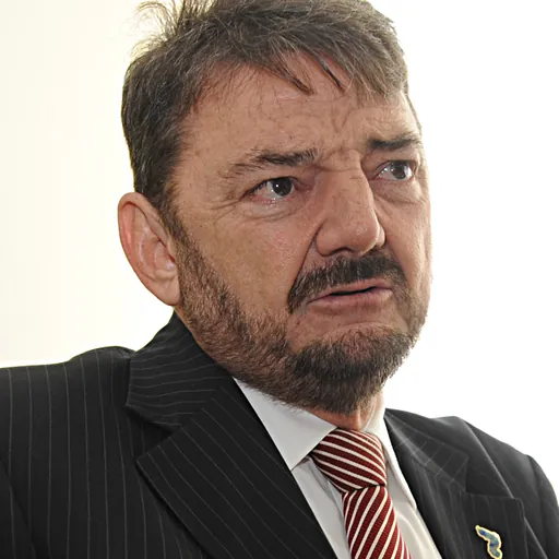 Portrait of Wilson Martins