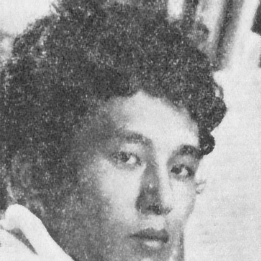 Portrait of Toshiro Mayuzumi
