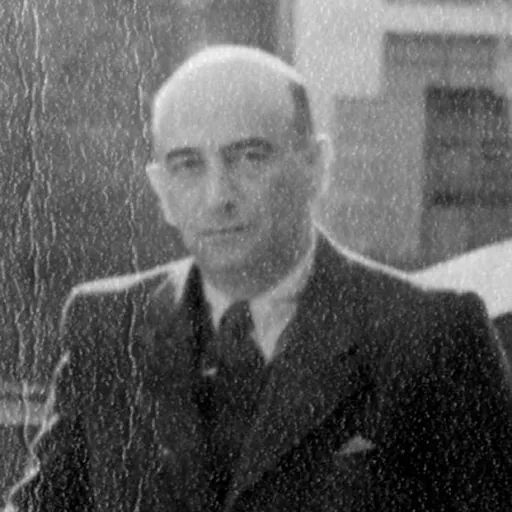 Portrait of David Enoch