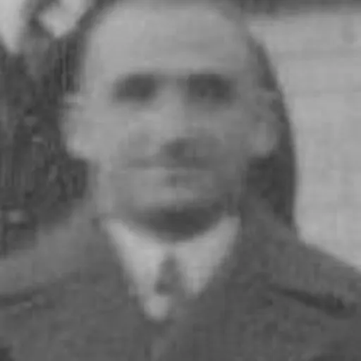 Portrait of Friedrich Wilhelm Levi