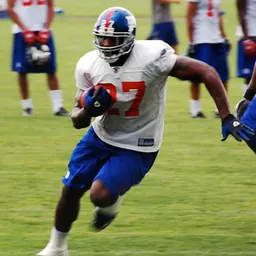 Portrait of Brandon Jacobs