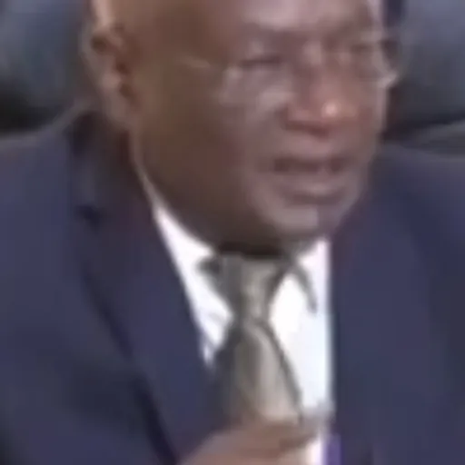 Portrait of Dawud Ibsa Ayana