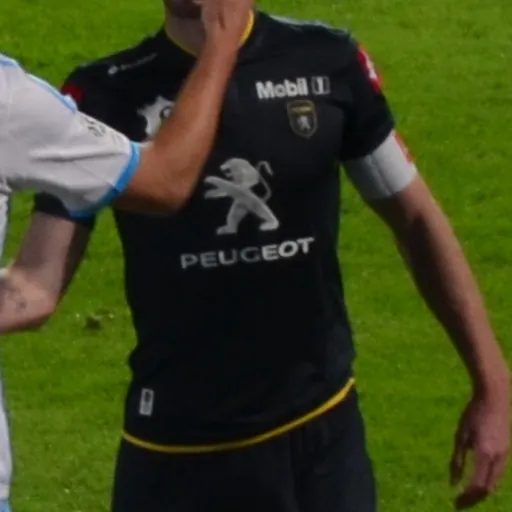 Portrait of Mathieu Peybernes