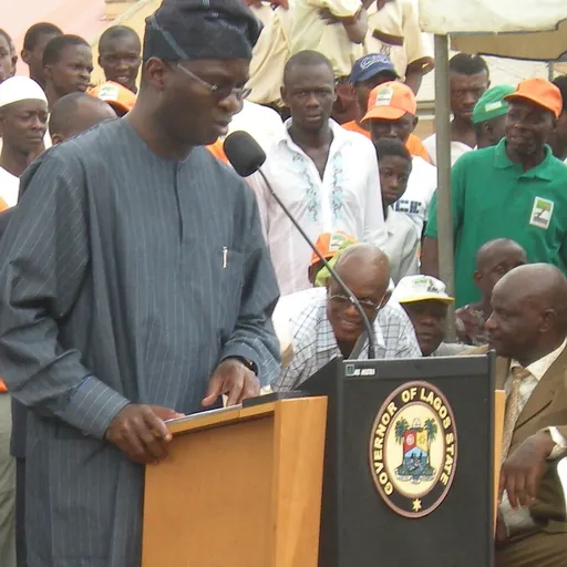 Portrait of Babatunde Fashola