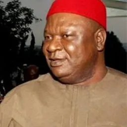 Portrait of Anyim Pius Anyim