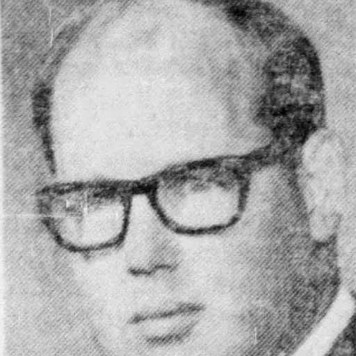 Portrait of William F. Riordan