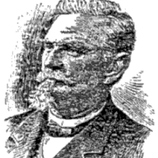 Portrait of Henry Rosenberg