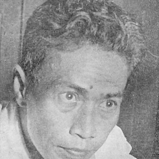 Portrait of Sanusi Pane