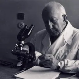 Portrait of Ștefan Gh. Nicolau