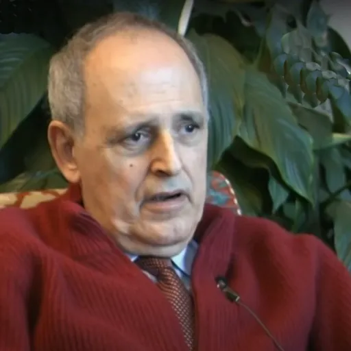 Portrait of Flavio Costantini