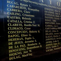 Portrait of Rizalina Ilagan