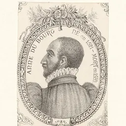 Portrait of Anne du Bourg