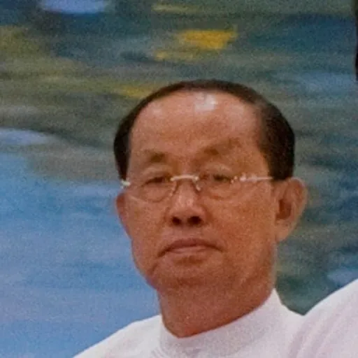 Portrait of Tin Aung Myint Oo