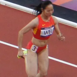 Portrait of Wei Yongli