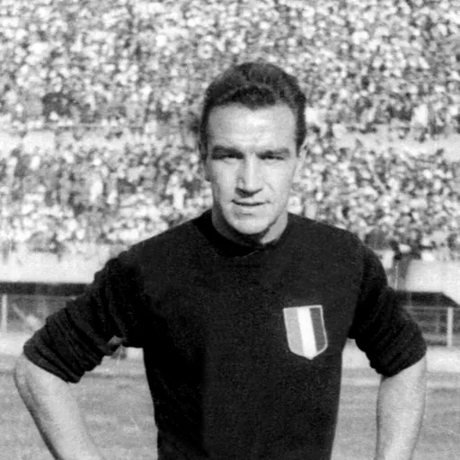 Portrait of Ezio Loik