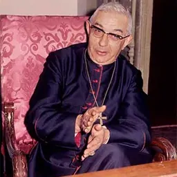 Portrait of Vicente Enrique y Tarancón