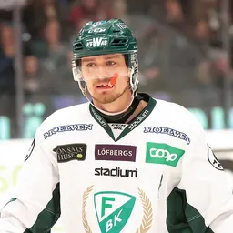 Portrait of Linus Johansson