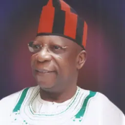 Portrait of Mike Onoja