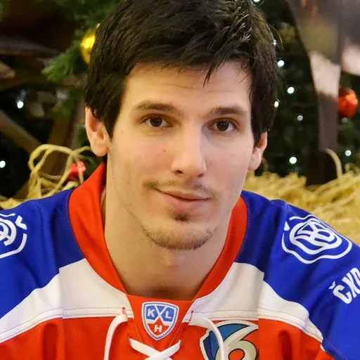 Portrait of Tomáš Kubalík