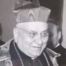 Portrait of Gaetano Cicognani