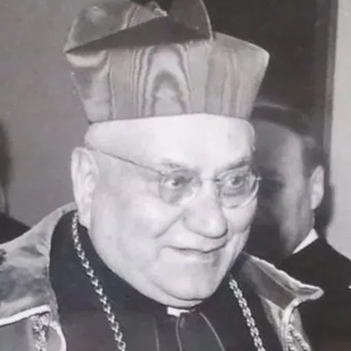 Portrait of Gaetano Cicognani