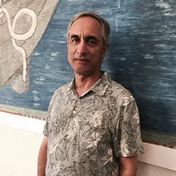 Portrait of Subhash Kak