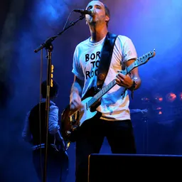 Portrait of Fran Healy