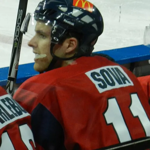 Portrait of Joe Sova