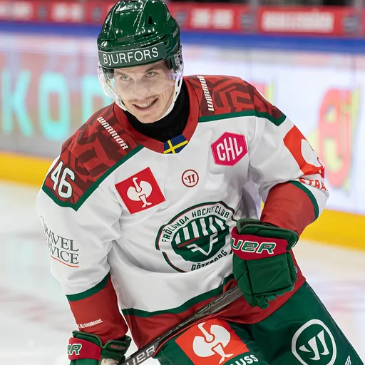 Portrait of Dominik Egli