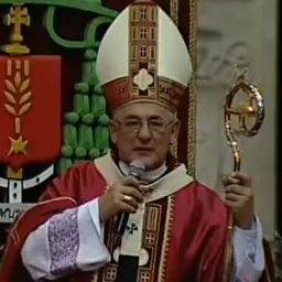 Portrait of Alberto Taveira Corrêa