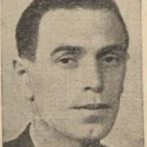 Portrait of Virgil Carianopol
