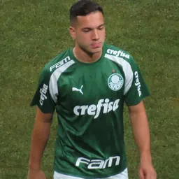 Portrait of Fabinho