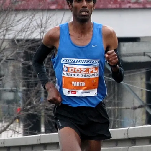 Portrait of Yared Shegumo
