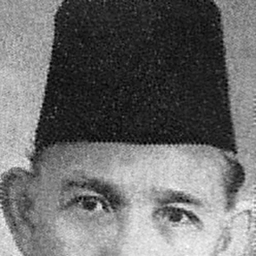 Portrait of Mahmoed Joenoes