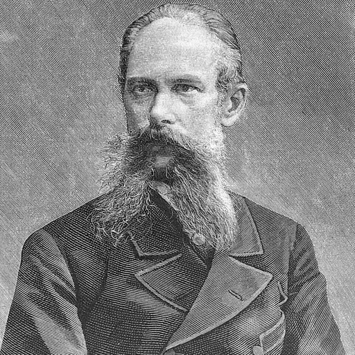 Portrait of Aleksandr Nelidov
