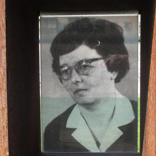 Portrait of Hildegard Trabant