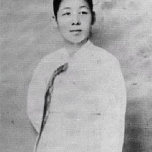 Portrait of Jin Chae-seon