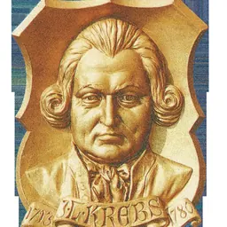 Portrait of Johann Ludwig Krebs