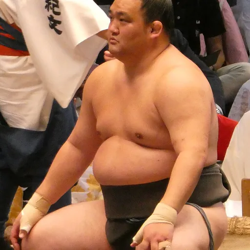 Portrait of Chiyonoumi Meitarō