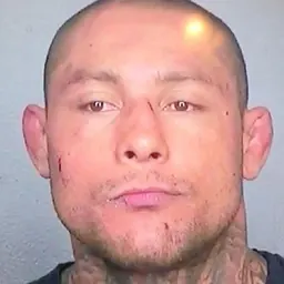 Portrait of Thiago Silva
