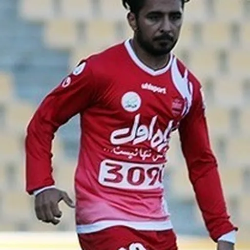 Portrait of Milad Kamandani
