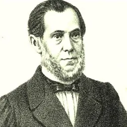 Portrait of Francisco José Furtado