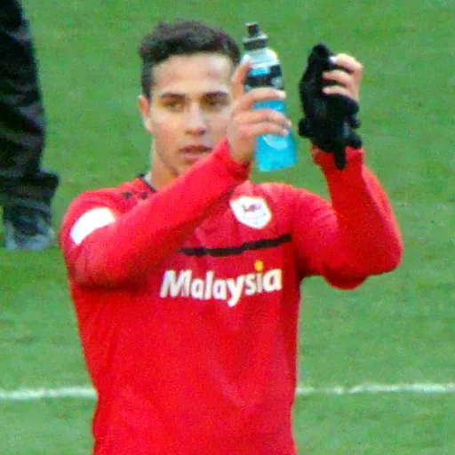 Portrait of Kerim Frei