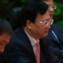 Portrait of Jing Junhai
