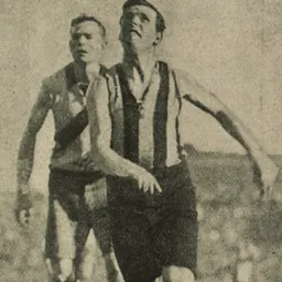 Portrait of Maurie Sheehy