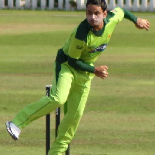 Portrait of Mohammad Hafeez