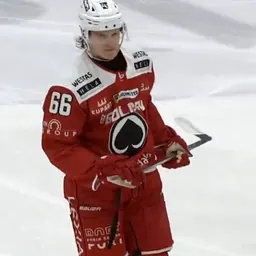 Portrait of Joona Riekkinen
