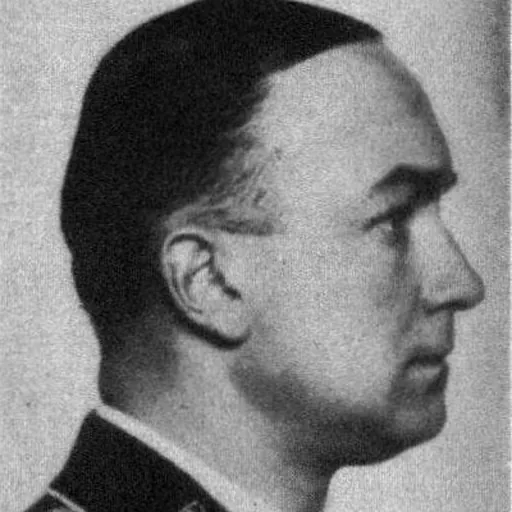 Portrait of Hanns Ludin